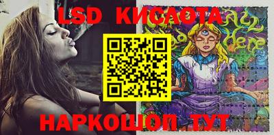 гидра Кингисепп