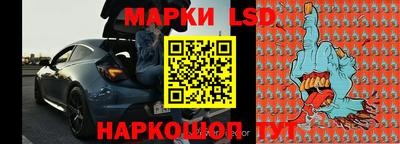 гидра Кингисепп
