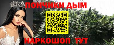 гидра Кингисепп