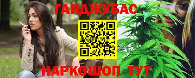 гидра Кингисепп