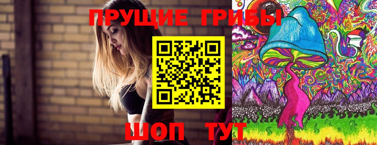 Псилоцибиновые грибы мицелий Керчь