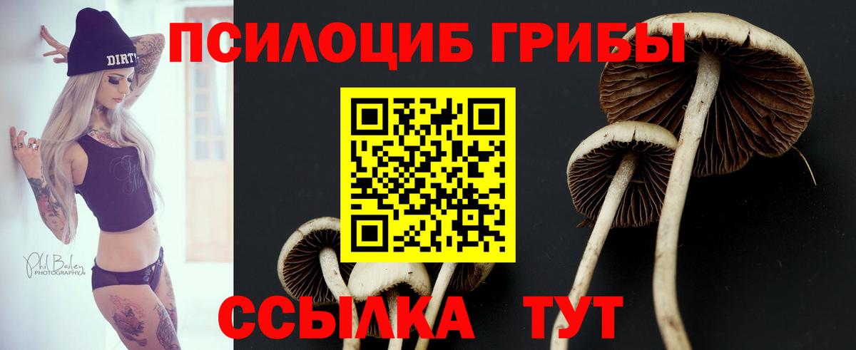 Керчь  Псилоцибиновые грибы Psilocybe  Вход с VPN 